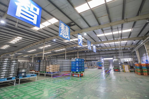 重慶 以智能化驅(qū)動(dòng)轉(zhuǎn)型升級(jí)，汽車零配件批發(fā)行業(yè)質(zhì)效雙提升